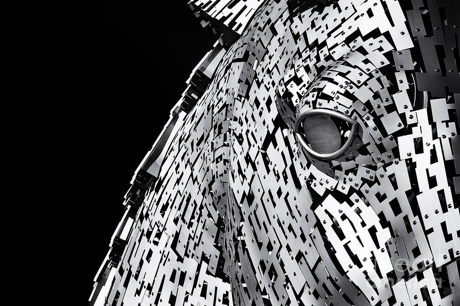 Metal Horse Abstract Photograph by Tim Gainey