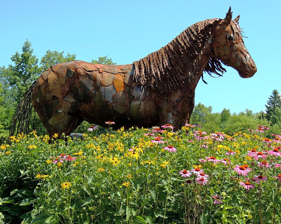 Metal Horse And Flowers Photograph