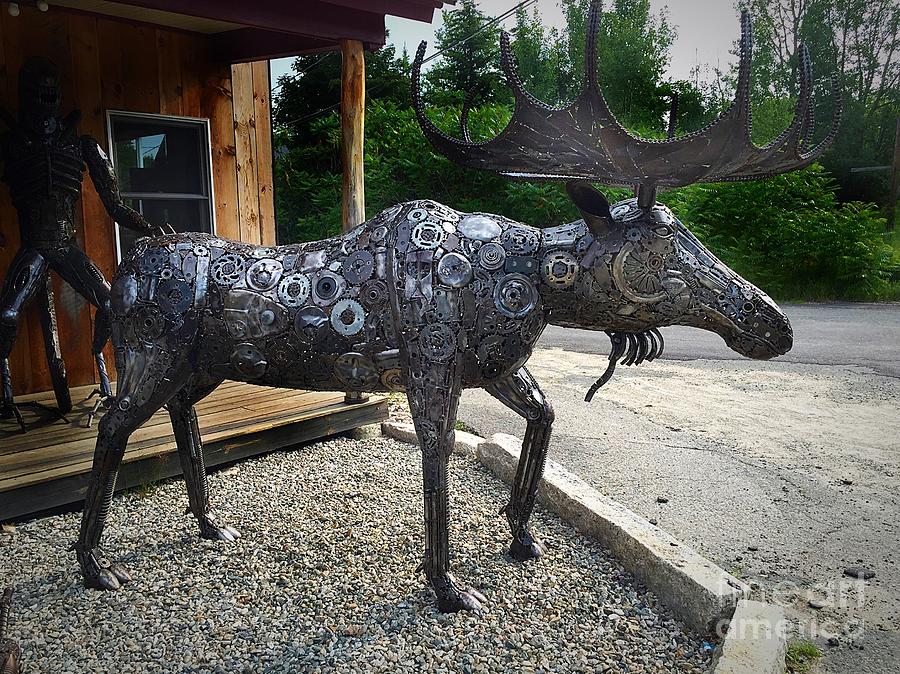 Metal Moose Scupture Photograph by Anne Sands