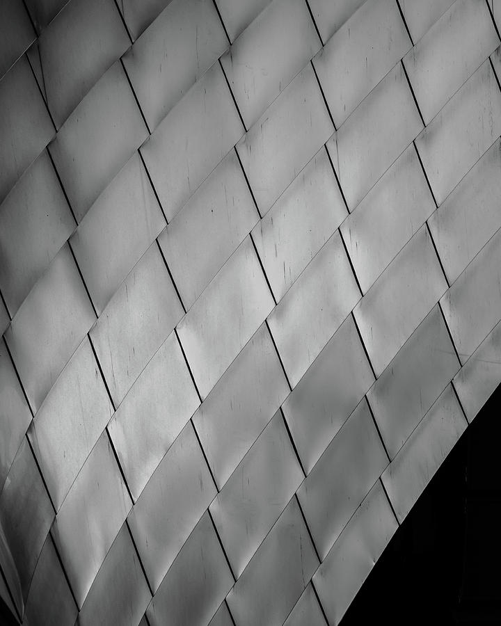 Metal Scales in Black and White Photograph by Kelly VanDellen