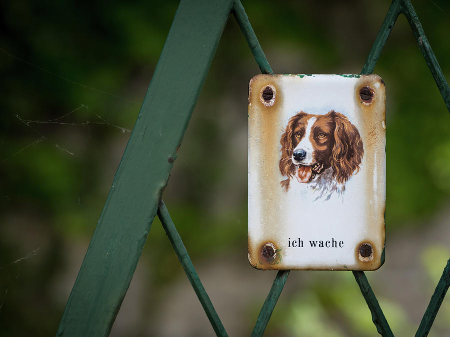 Metal Sign With Dog Saying Photograph