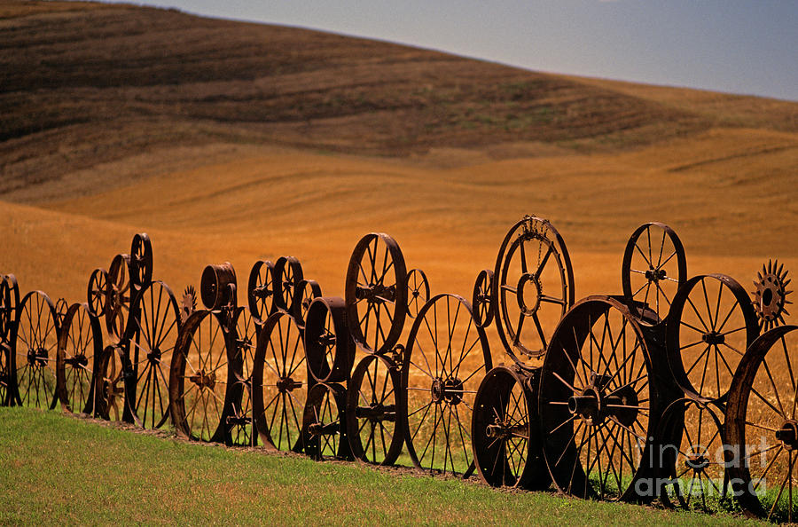 Metal Wheel Fence  Photograph by Jim Corwin