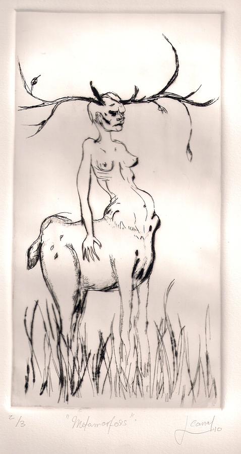 Deer Drawing - Metamorfosis by Juliana Kanaal