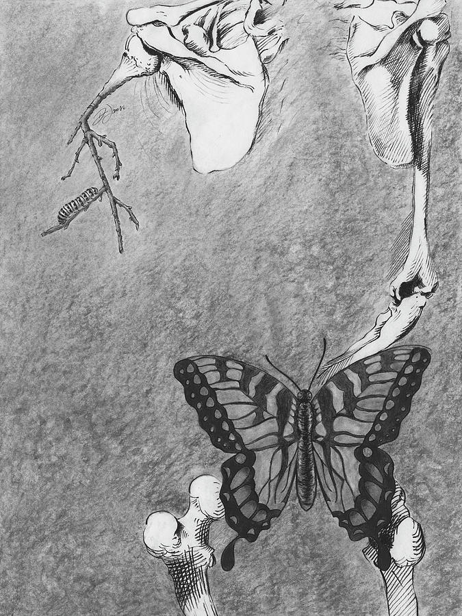 Metamorphosis Drawing by Darin Jones