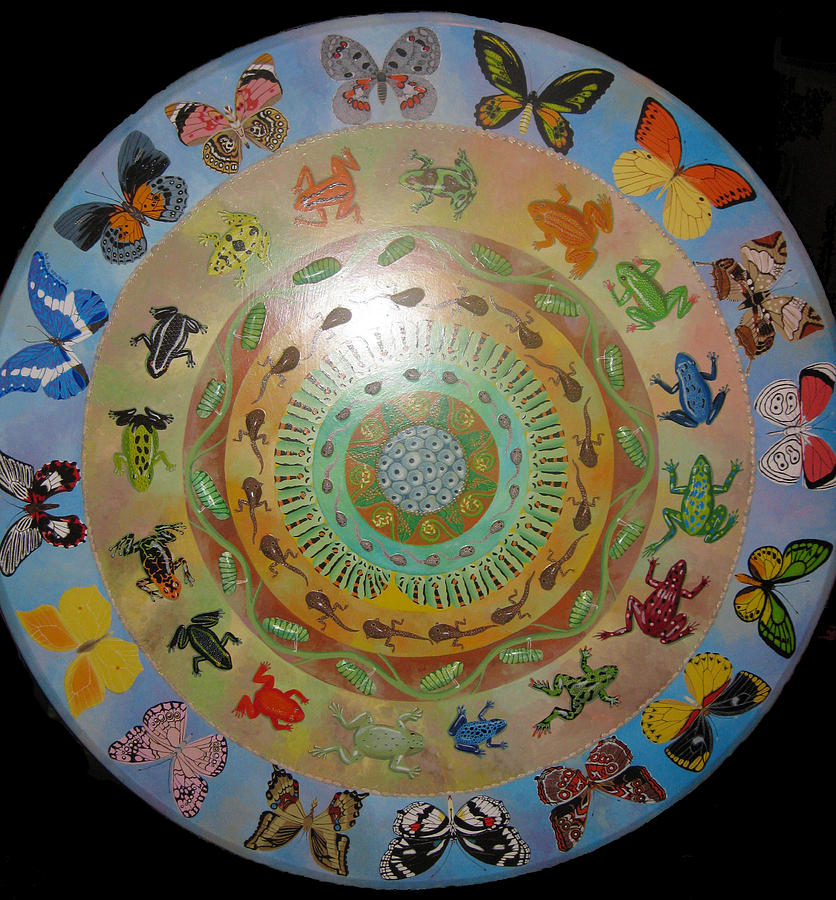 Metamorphosis Mandala Painting by Amanda  Lynne