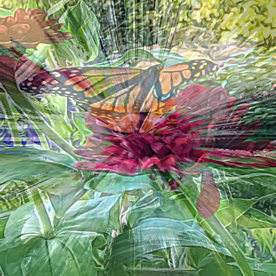 Metamorphosis of the Butterfly Digital Art by Pamela Storch