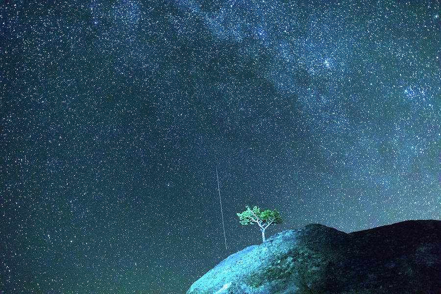 Meteor Falling Blue Starry Night Photograph by James BO Insogna