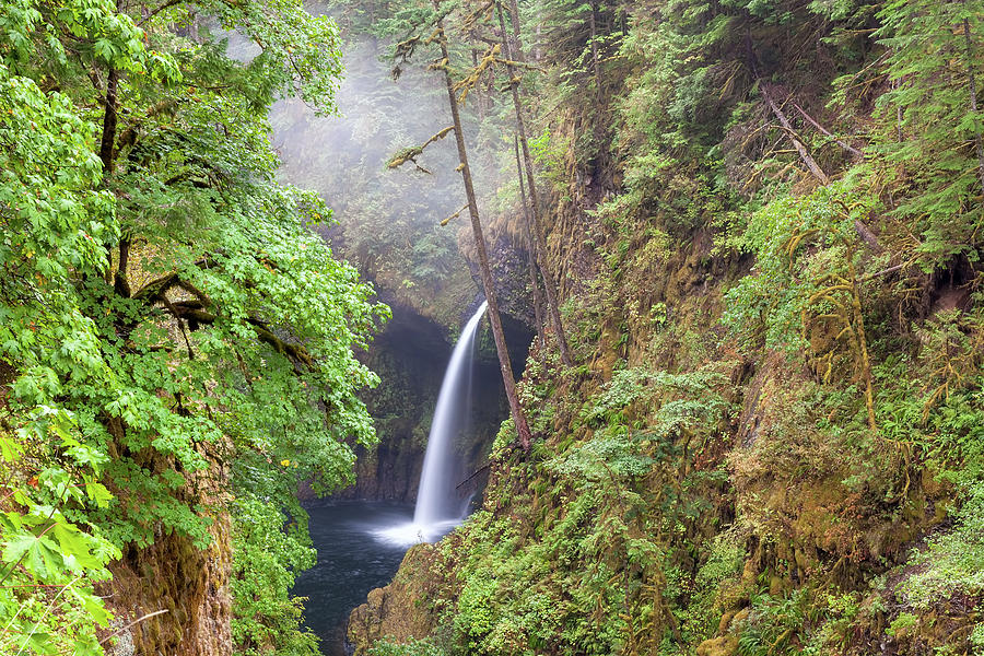 Metlako Falls in Columbia River Gorge Photograph by David Gn