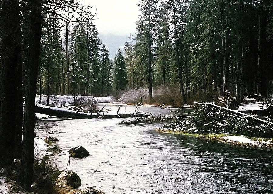 Metolius River 2 Photograph Photograph by Kimberly Walker