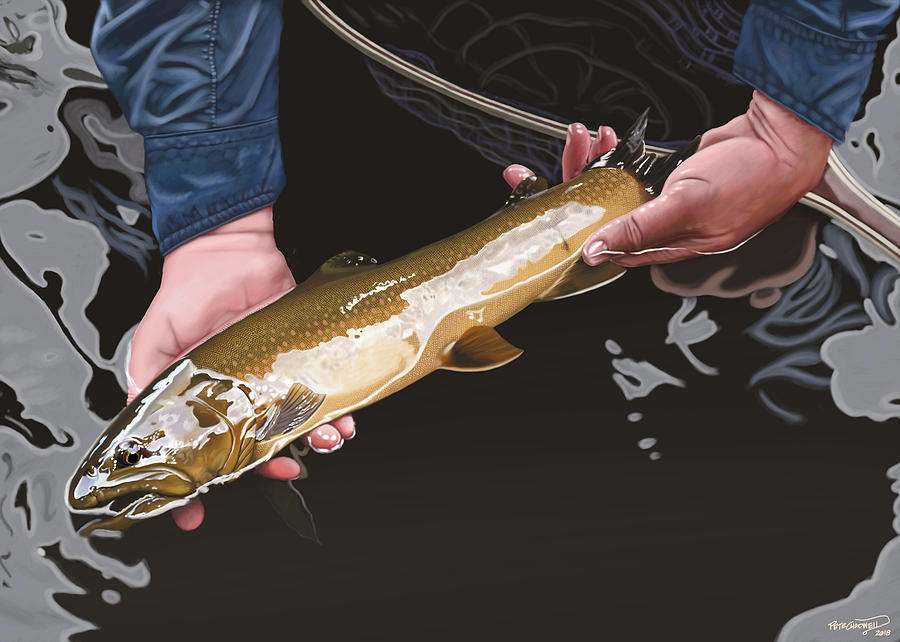 Bull Trout Digital Art - Metolius River Bronze by Pete Chadwell