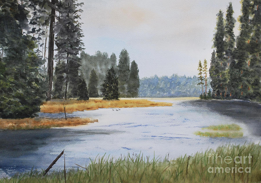 Wildlife Painting - Metolius River Headwaters by Stanton Allaben
