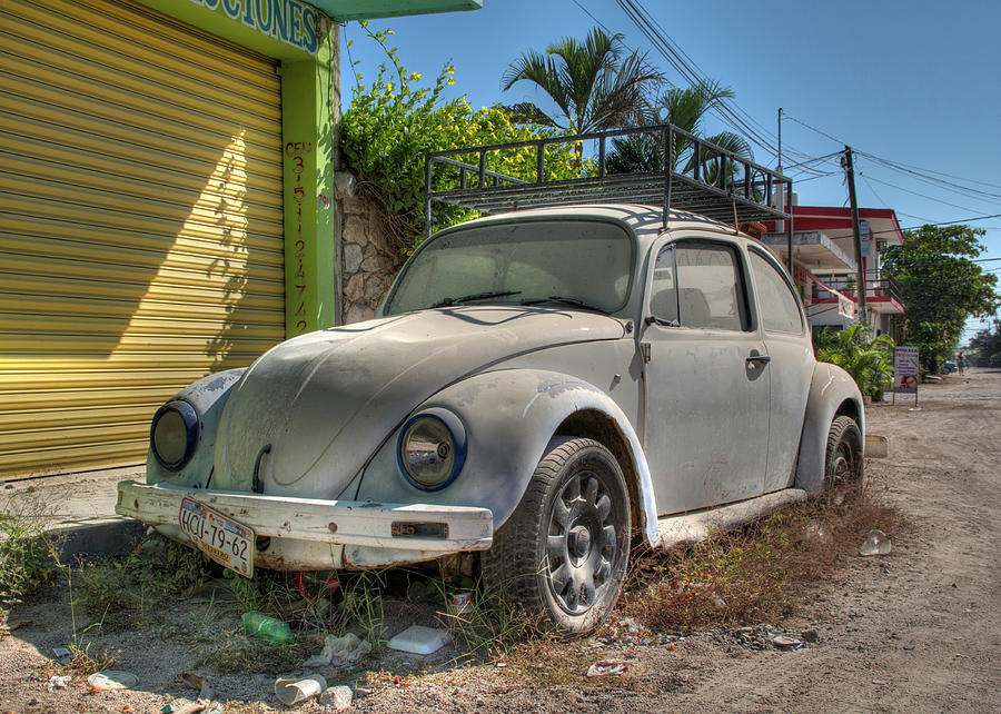 Mexican Beetle Photograph by Doug Matthews