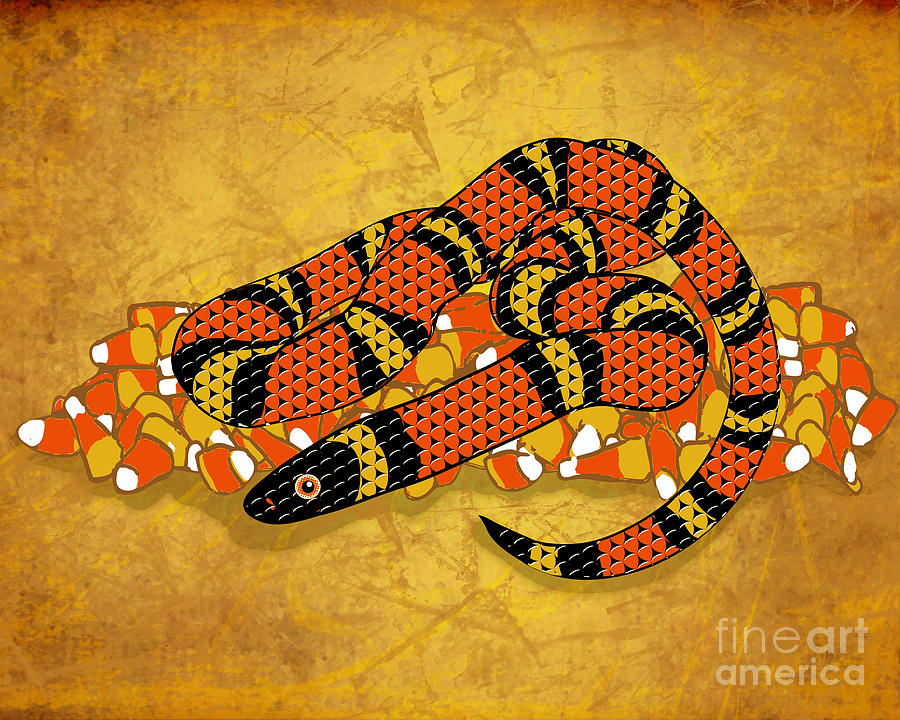 Mexican Candy Corn Snake Digital Art by Laura Brightwood