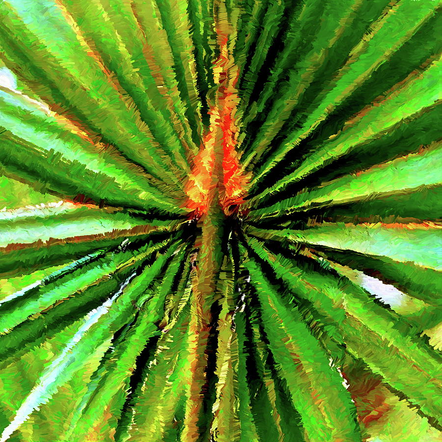 Mexican Fan Palm Abstract Digital Art by Dana Roper