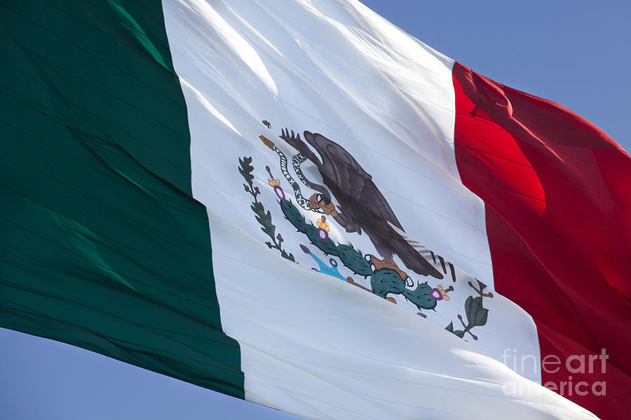 Mexican flag Photograph by Anthony Totah