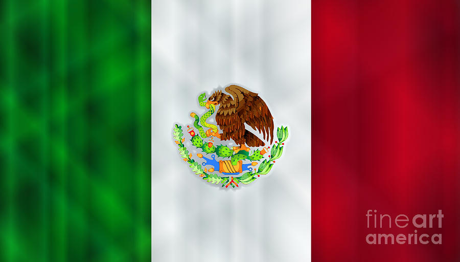 Mexican Flag Fleece Blanket