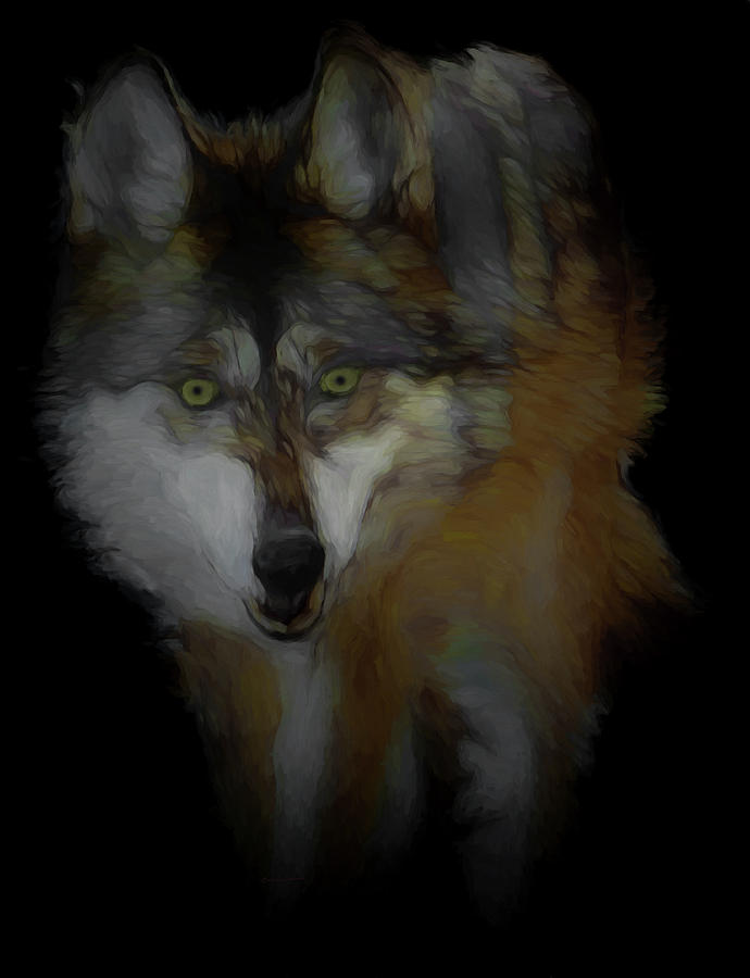 Mexican Grey Wolf DA2 Digital Art by Ernest Echols