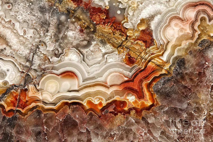 Lace Photograph - Mexican Lace Agate by Dee Johnson