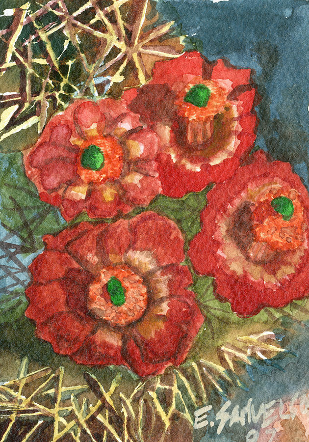 Mexican Pincushion Painting by Eric Samuelson