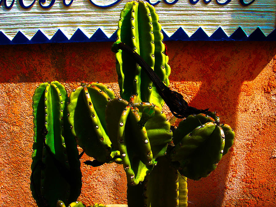 Mexican Style  Photograph by Susanne Van Hulst