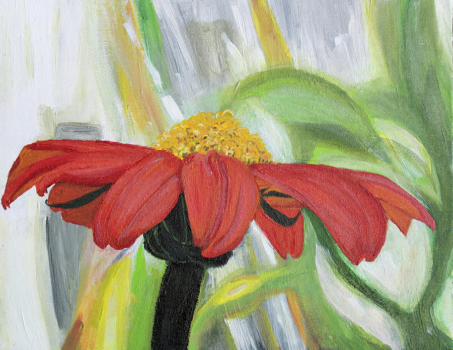 Mexican Sunflower by MKD Lincoln Mexican Sunflower by MKD Lincoln