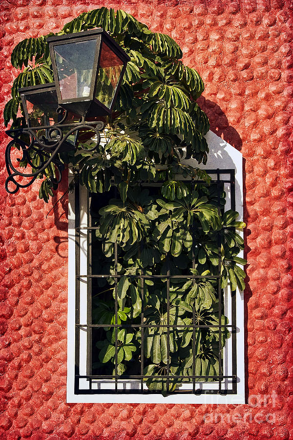 Mexican Window Lamp and Green Leaves Photograph by Teresa Zieba