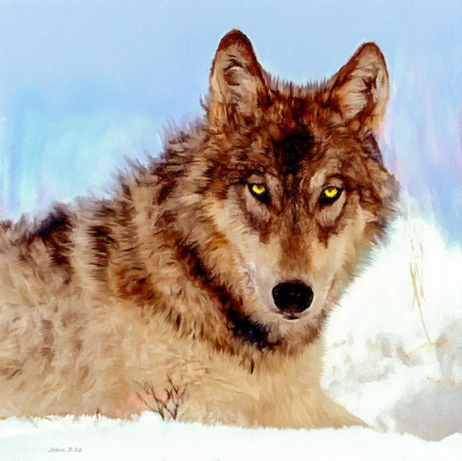 Nature Painting - Mexican Wolf Painting by Bob and Nadine Johnston