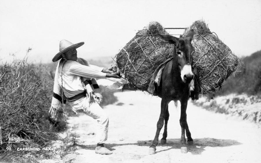 Mexico: Peasant And Burro by Granger