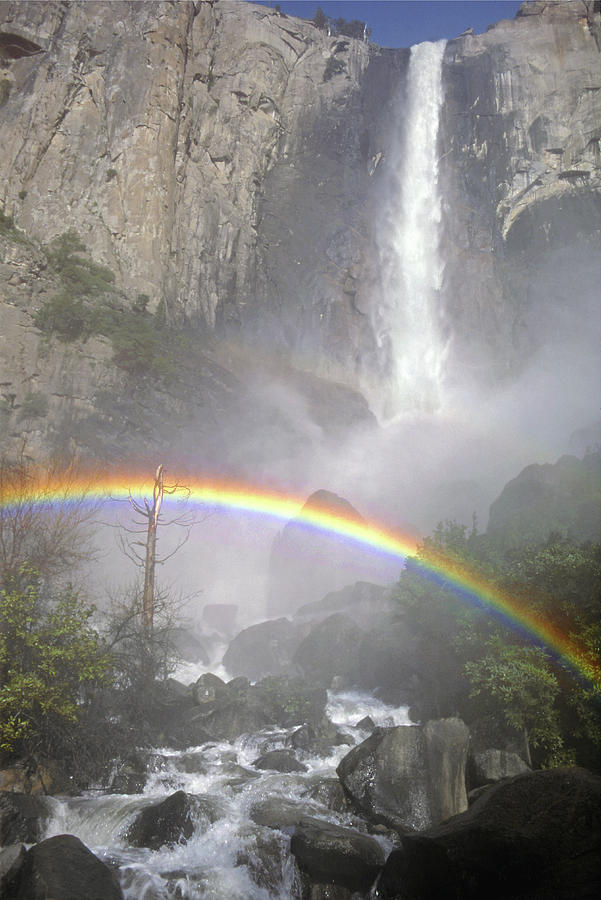MFF-174 Bridalveil Fall and Rainbow Photograph by Ed Cooper Photography