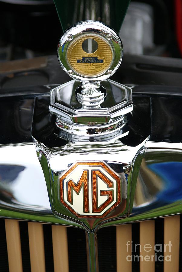 MG TD Radiator Emblem Photograph by Neil Zimmerman