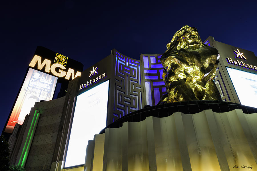 MGM Lion Photograph by Fran Gallogly