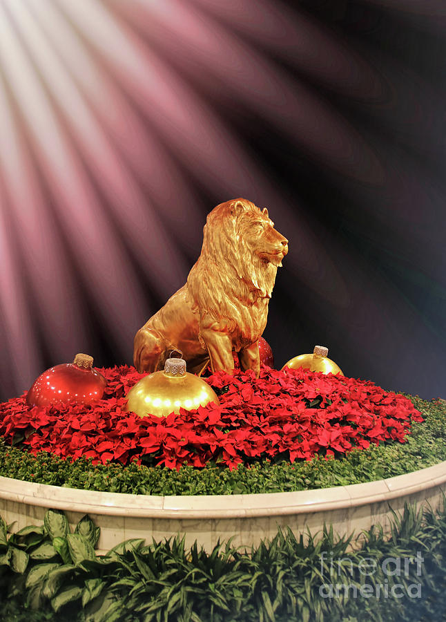MGM Lion Photograph by Mariola Bitner