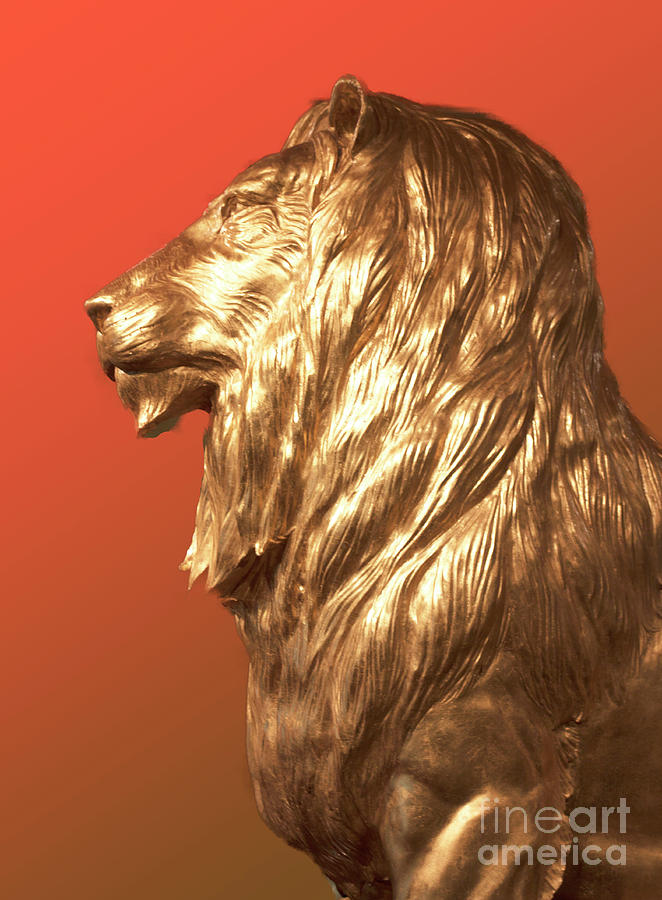 MGM Profile Lion in Red Photograph by Linda Phelps
