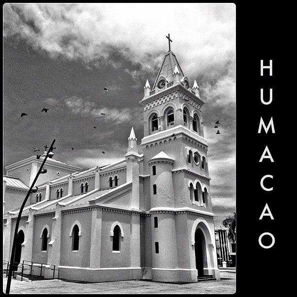 Bird Photograph - Mi Amado Pueblo #humacao #puertorico by Havito Nopal