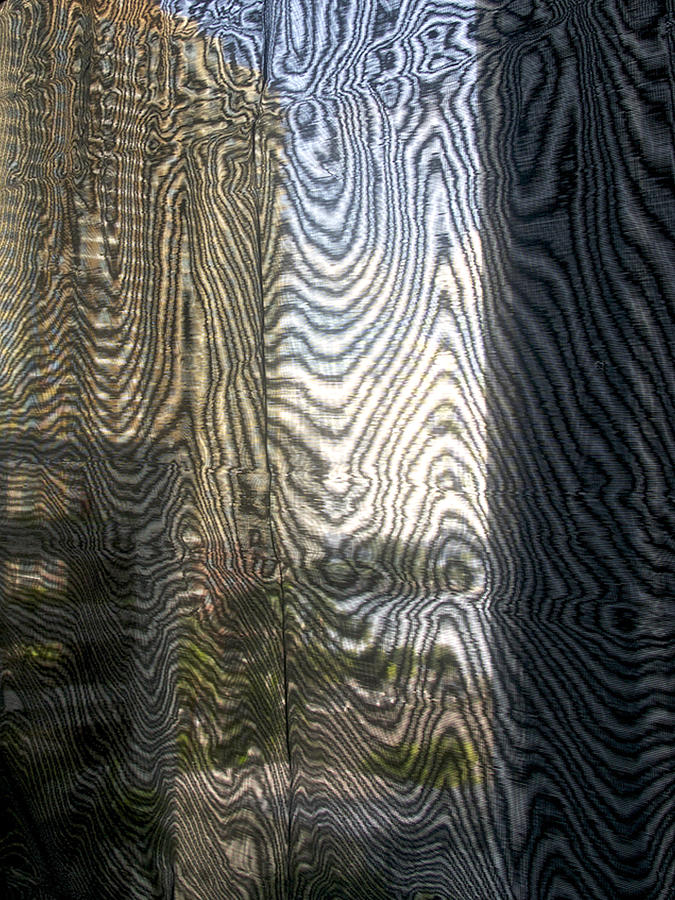 Miami Abstract View Through Screen Photograph by Karen Zuk Rosenblatt