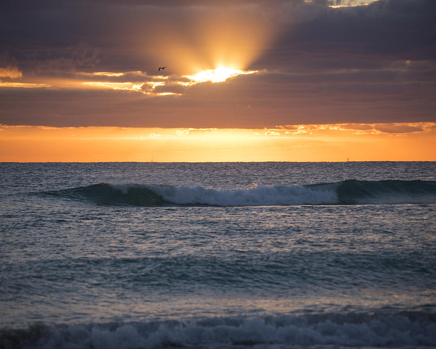 Miami Beach Florida Sunrise Photograph by Toby McGuire