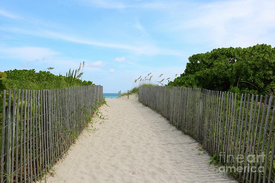 Miami Photograph - Miami Beach Path with Fence by Carol Groenen