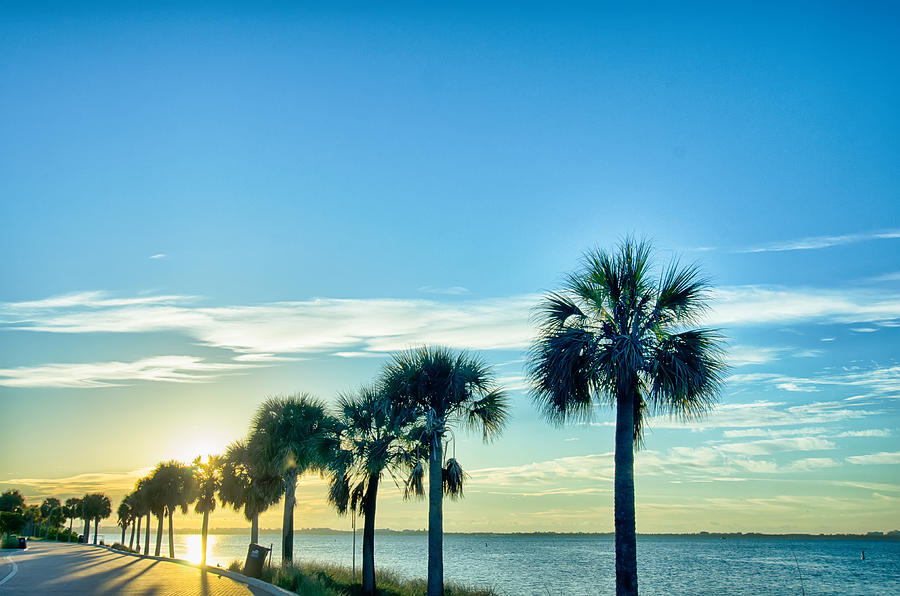 Miami Florida Beach Scenes On A Sunny Day Photograph by Alex Grichenko