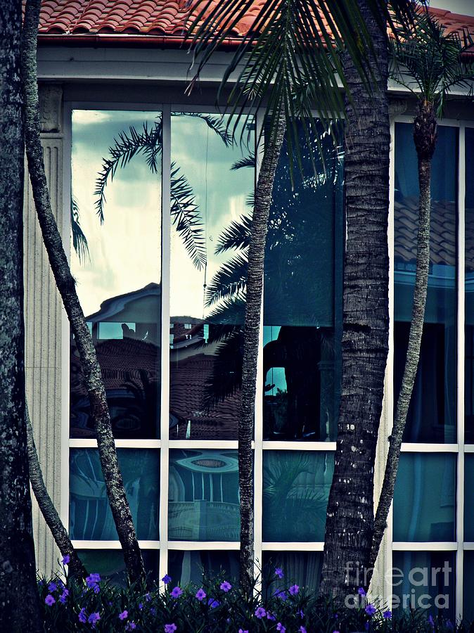 Miami In Reflection Photograph