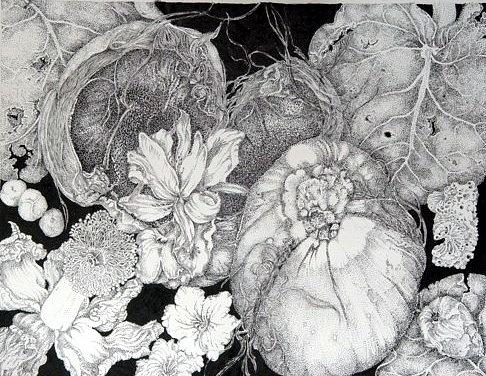 Miami Refusee Drawing by Jennifer Kirton Miami Refusee Drawing by Jennifer Kirton