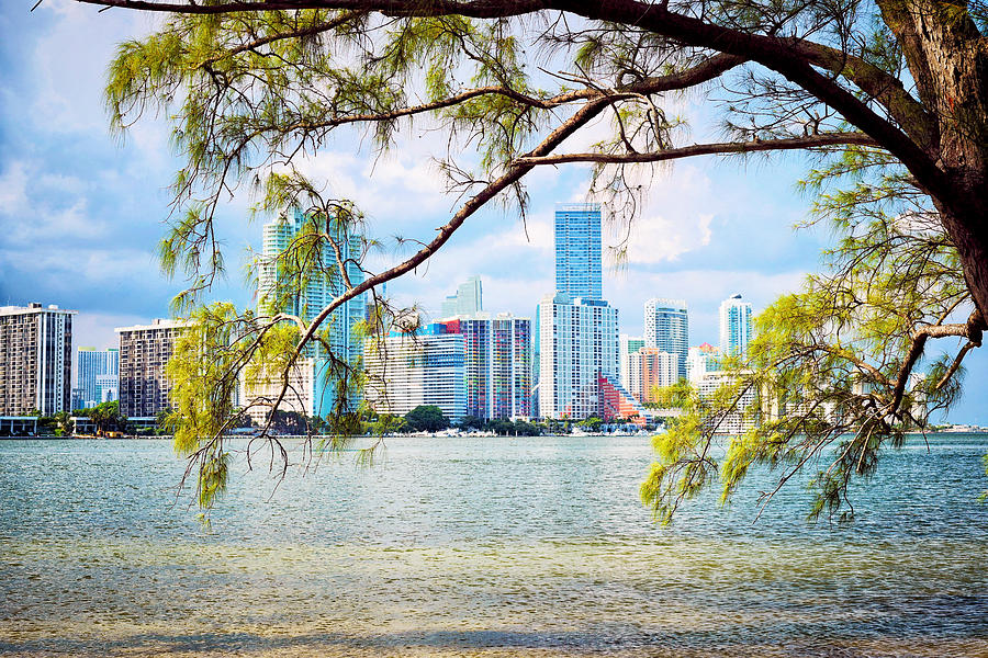 Miami skyline Photograph by Camille Lopez