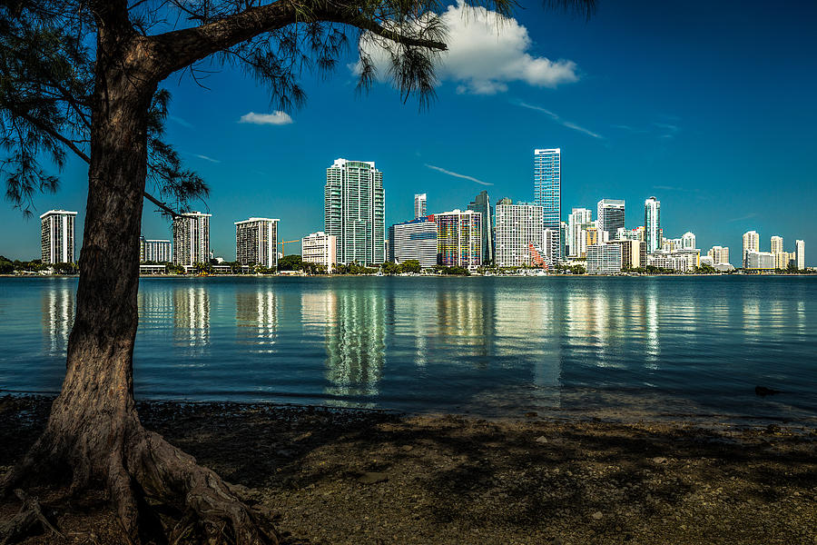 Miami Skyline Photograph by Rick Strobaugh