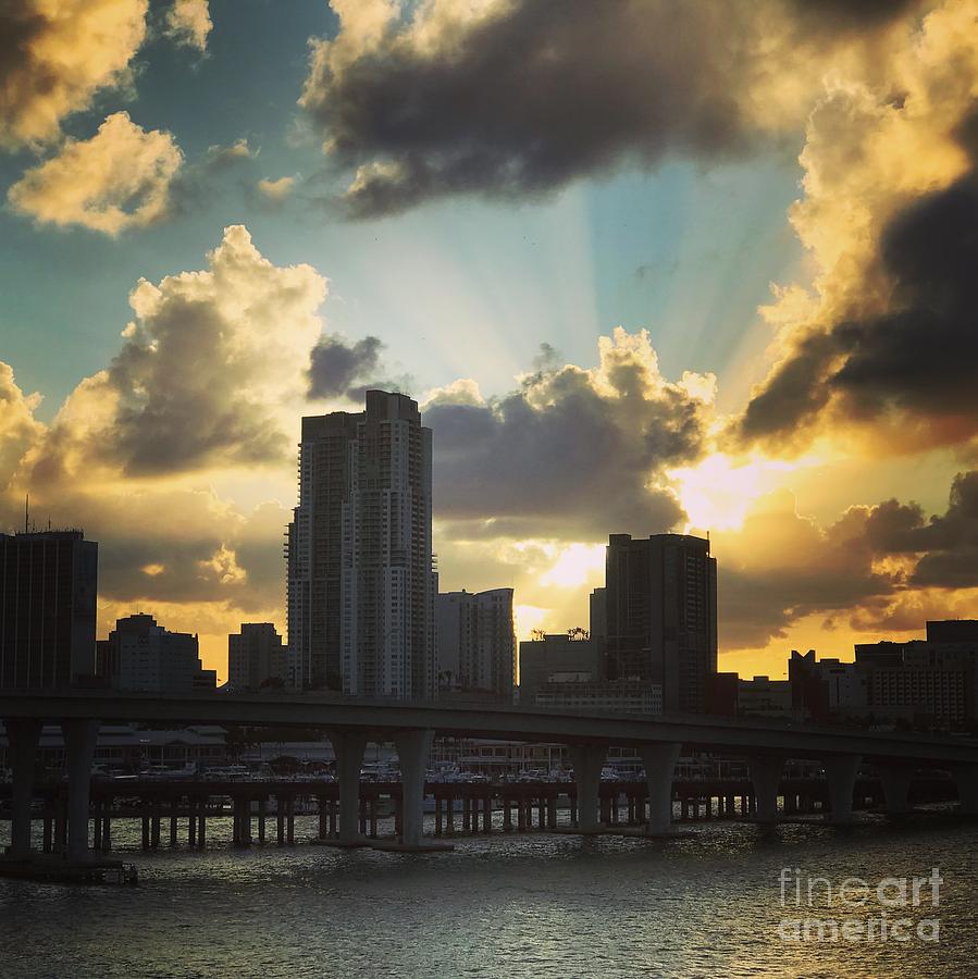 Miami  Skyline Photograph by Suzanne Lorenz