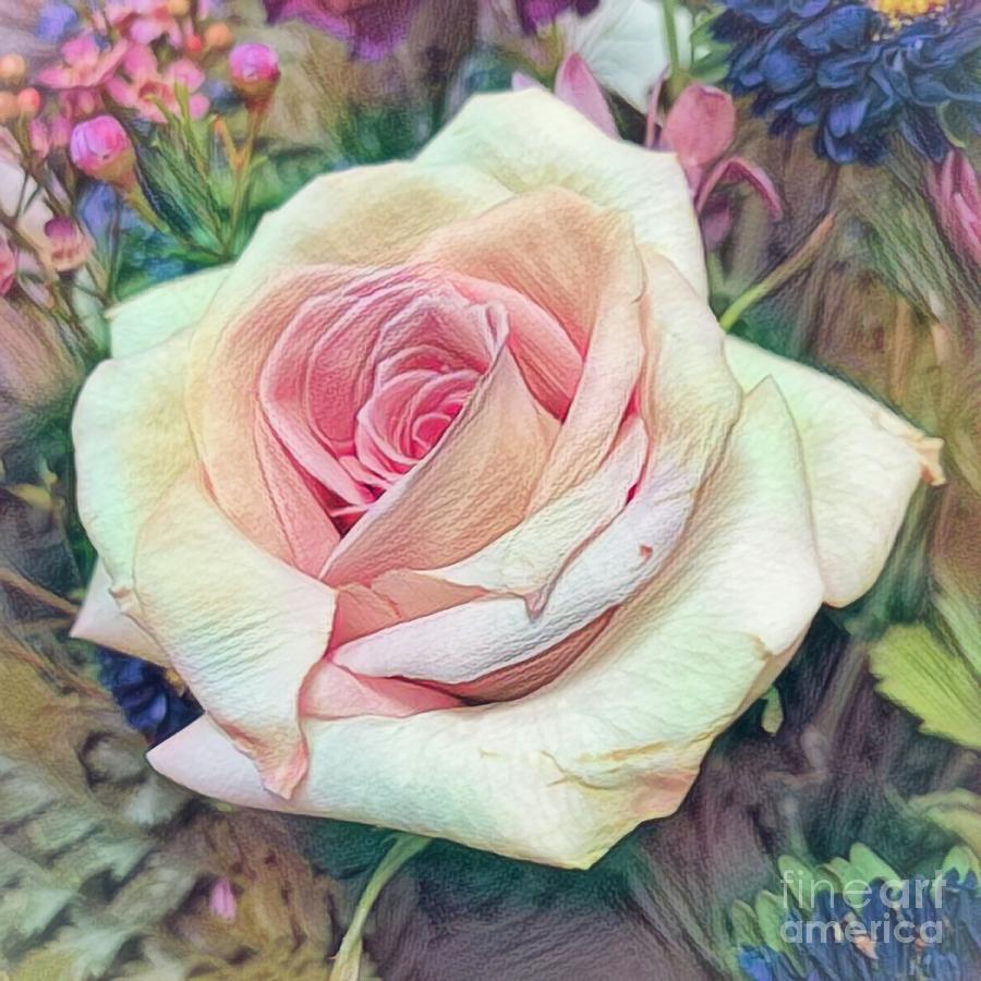 Mias Rose Photograph by Luther Fine Art