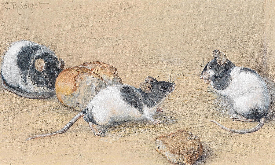 Mice Drawing by Carl Reichert