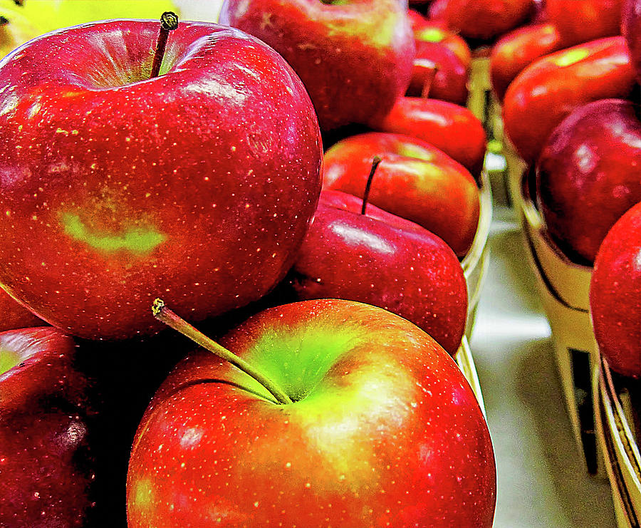 Michigan Apples Photograph by Winnie Chrzanowski