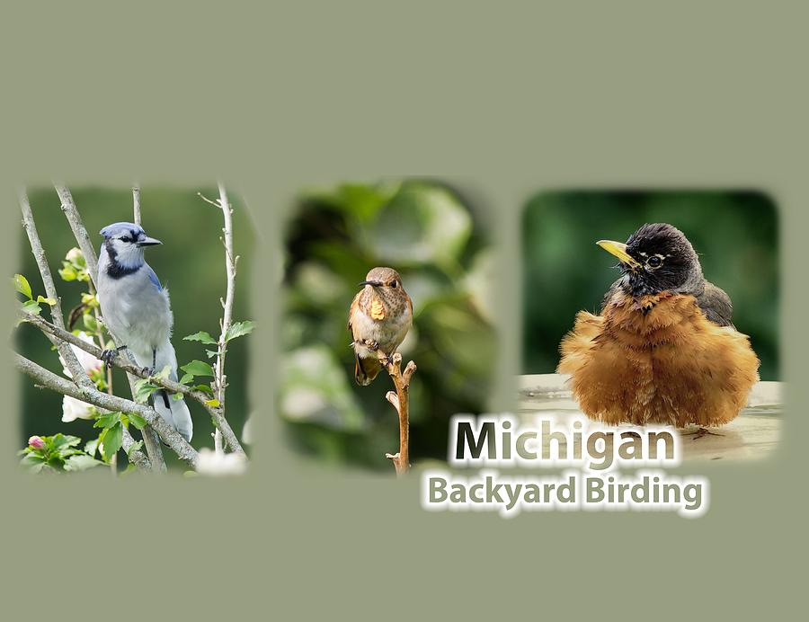 Michigan Backyard Birding Photograph by Gary OBoyle