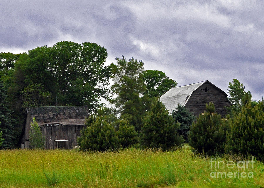 Michigan Country Photograph by Lydia Holly