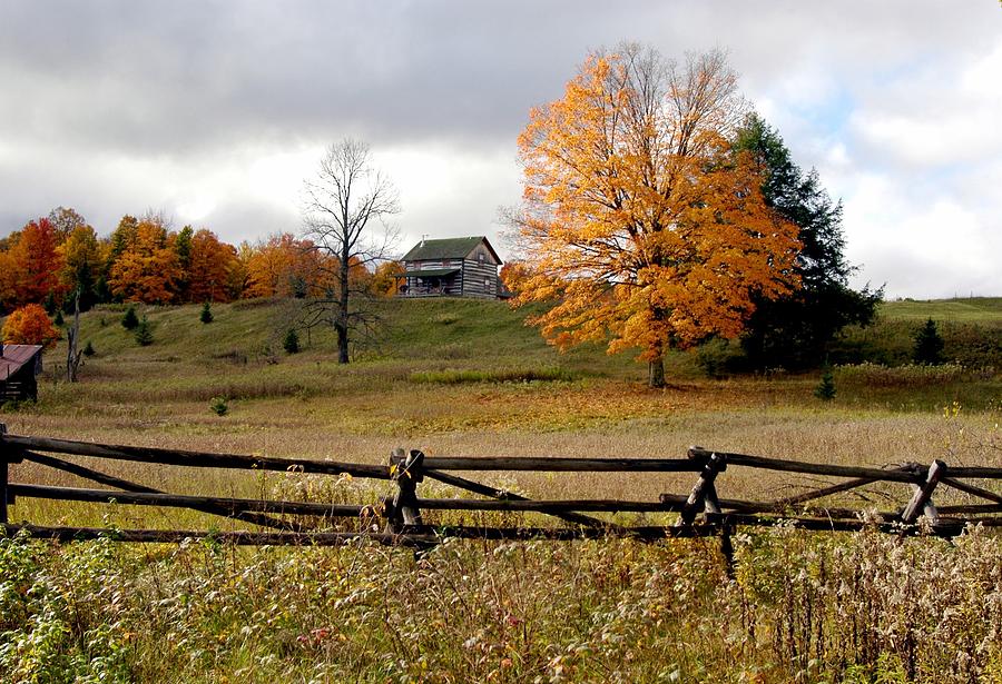 Michigan Countryside In The Fall Photograph By Dan Whedon