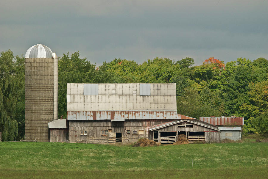 Michigan Dairy Barn Photograph by Michael Peychich